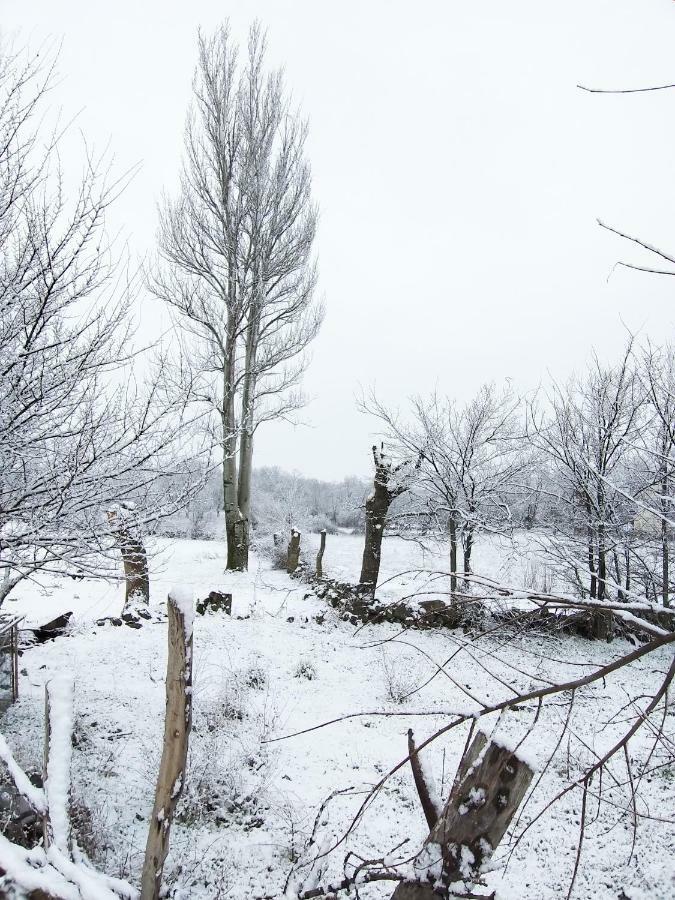Las Casonas De Chavida Luaran gambar